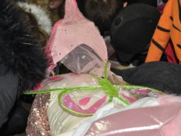 DSC_0290-2_web